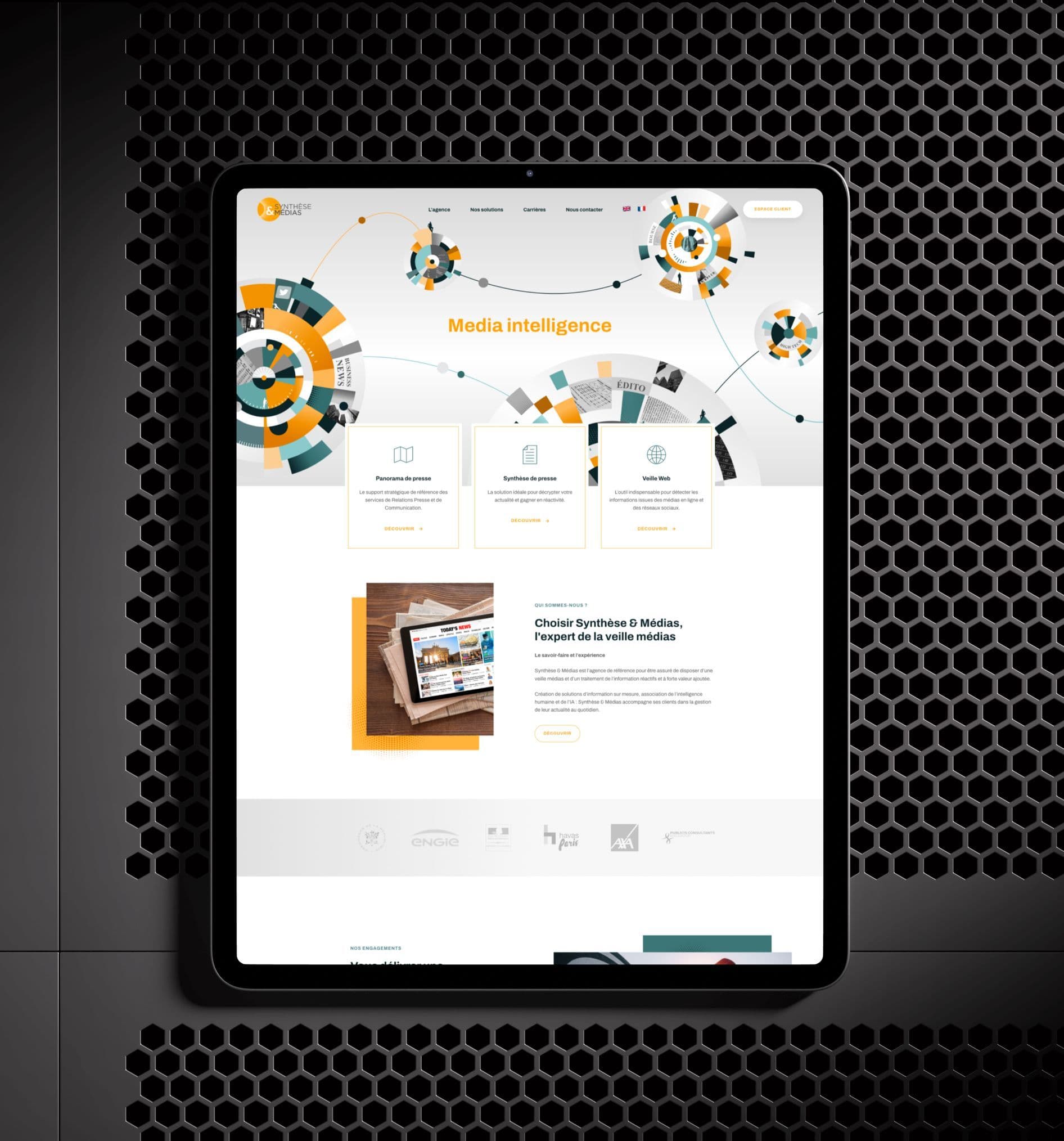 Écran de la plateforme Synthèse et Médias, premier visuel de la fiche