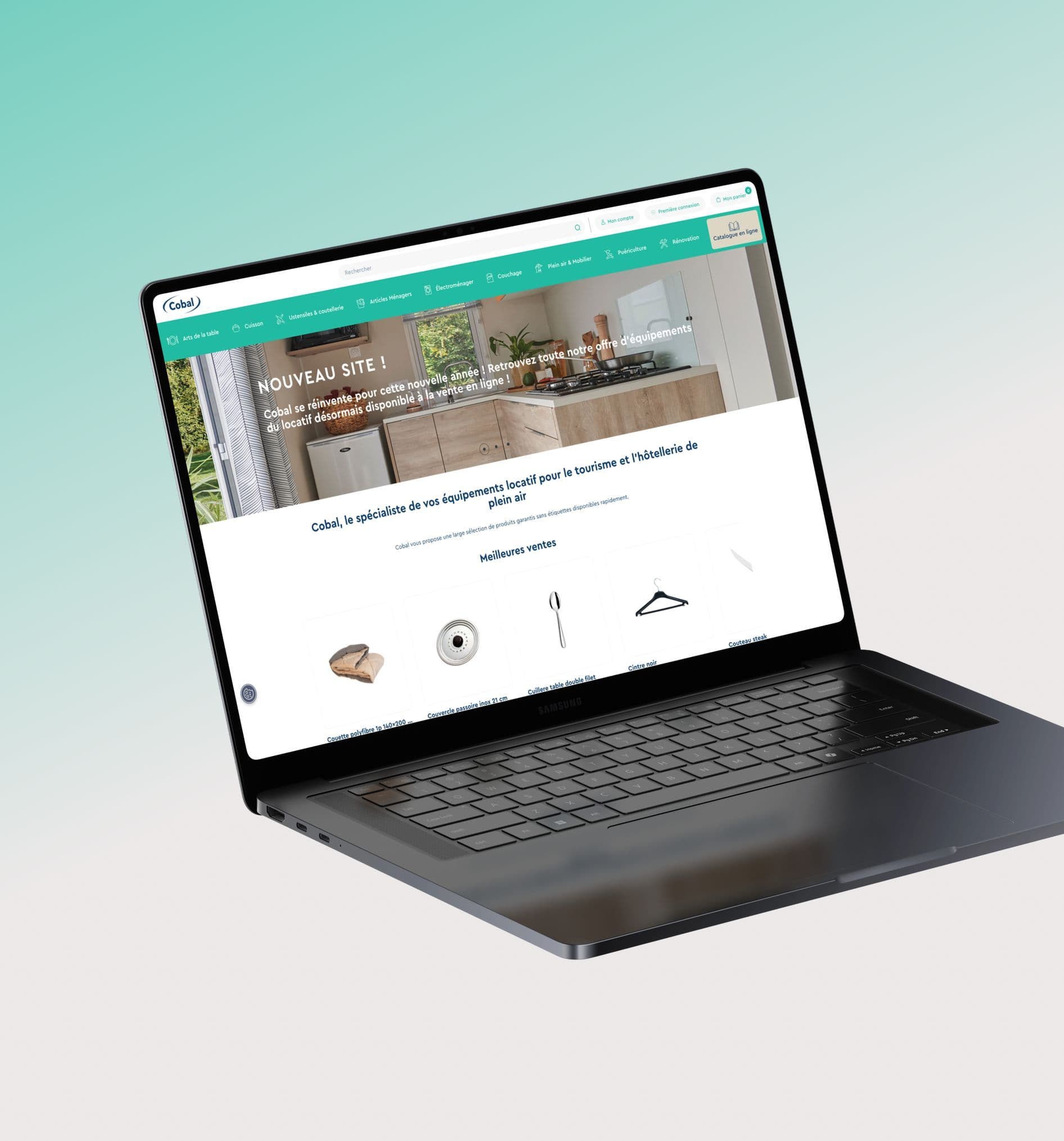 Écran du site Cobal, premier visuel de la fiche