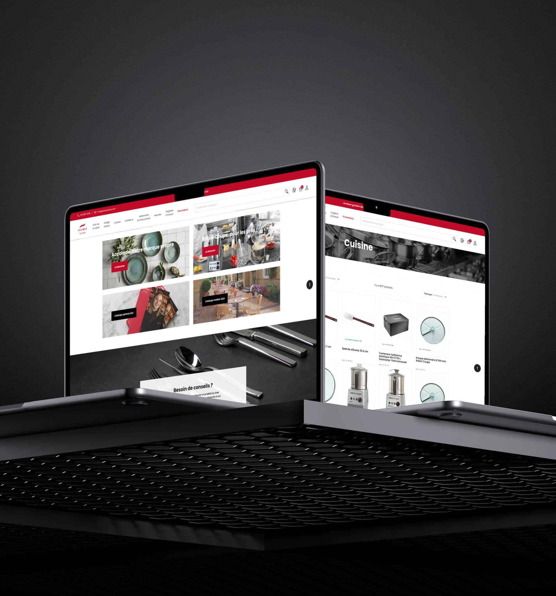 Écran du site Ecotel Suisse, premier visuel de la fiche