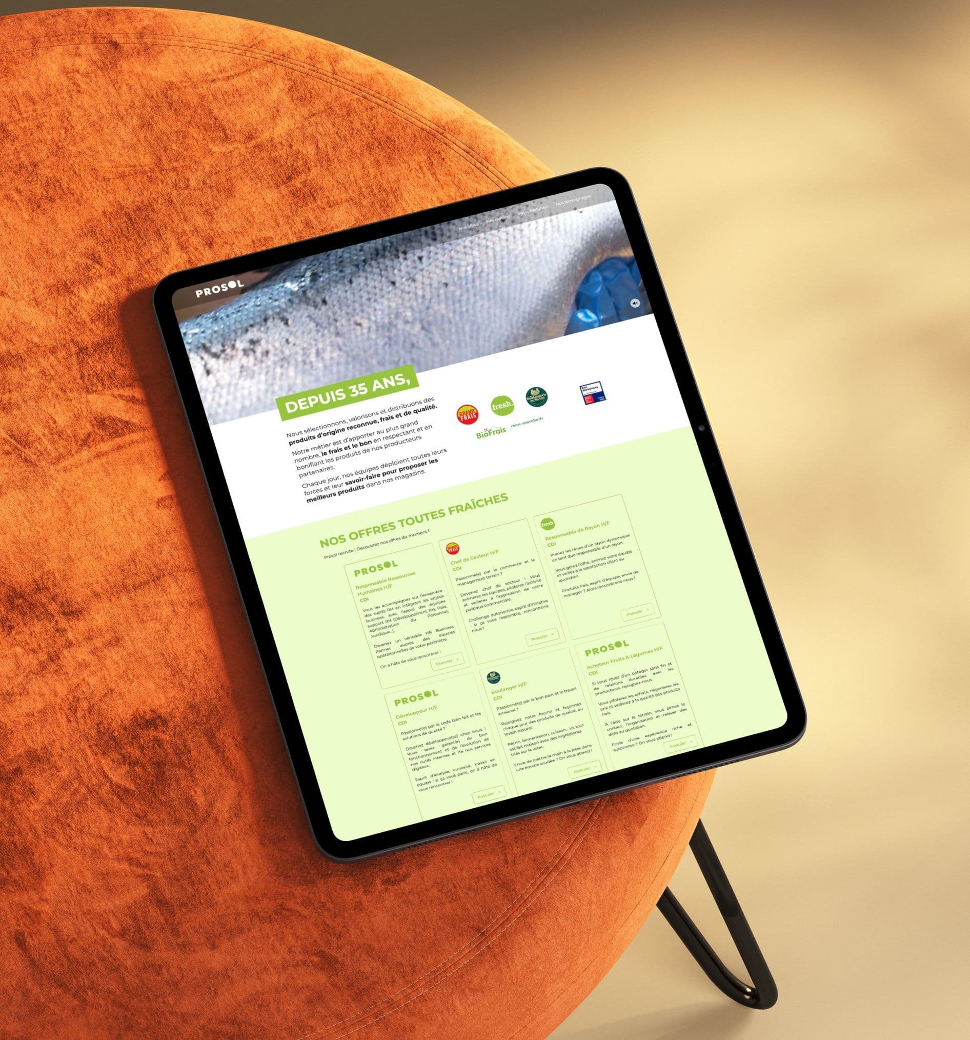 Écran du site Prosol, premier visuel de la fiche